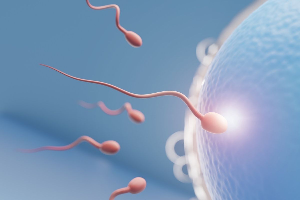Sperm-Donation-Program